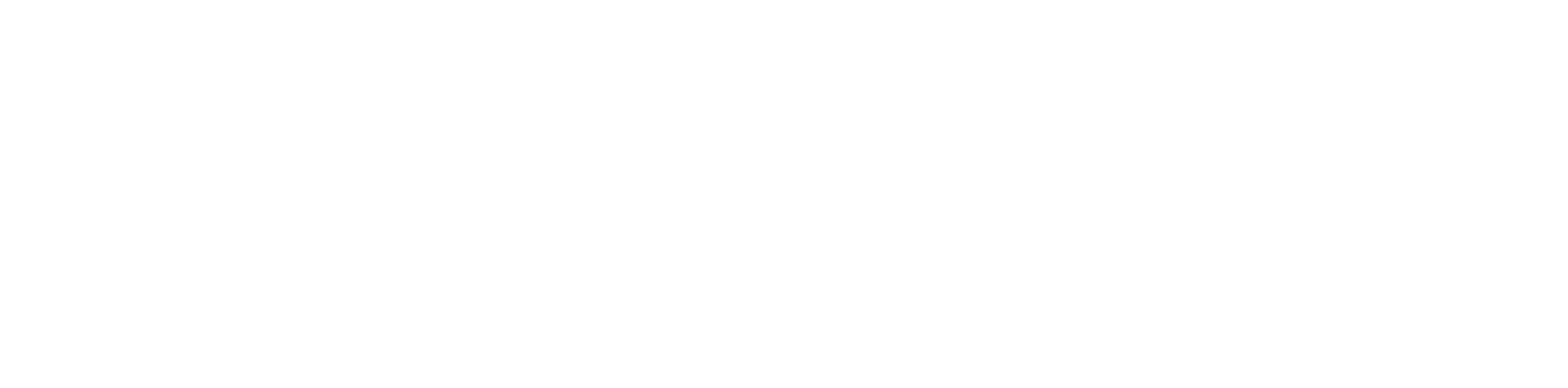 Jana Segarra Logo